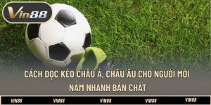 Cách Đọc Kèo Châu Á, Châu Âu Cho Người Mới - Nắm Nhanh Bản Chất