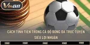 Cách Tính Tiền Trong Cá Độ Bóng Đá Trực Tuyến Siêu Lợi Nhuận