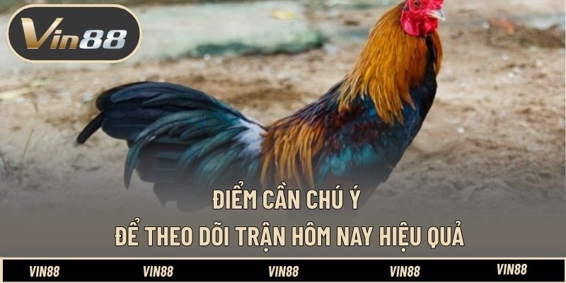 Điểm cần chú ý để theo dõi trận hôm nay hiệu quả