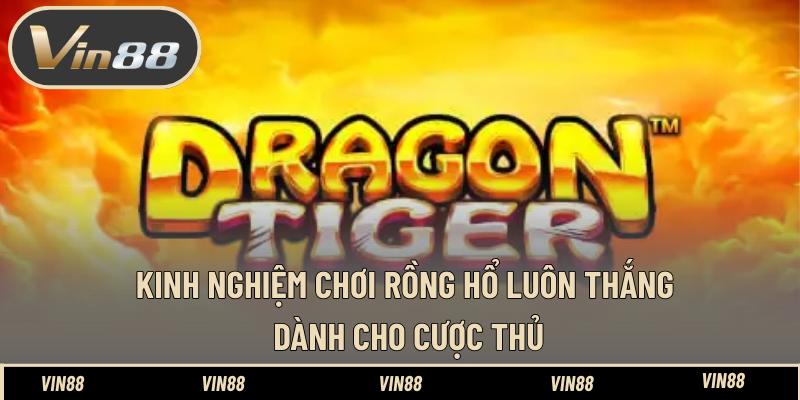 Kinh Nghiệm Chơi Rồng Hổ Luôn Thắng Dành Cho Cược Thủ