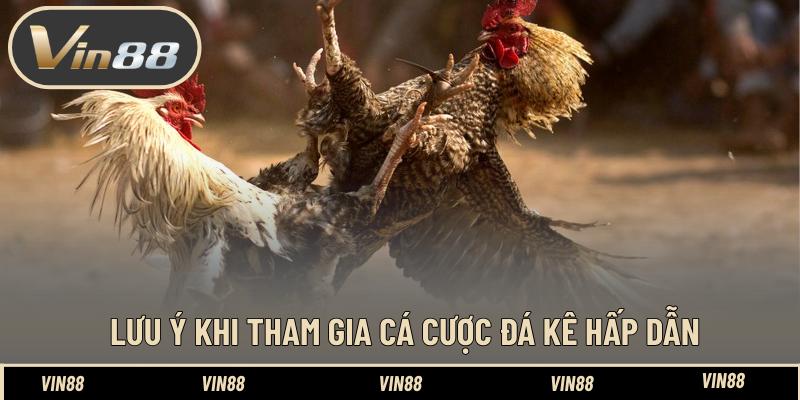 Lưu ý khi tham gia cá cược đá kê hấp dẫn Lưu ý khi tham gia cá cược đá kê hấp dẫn