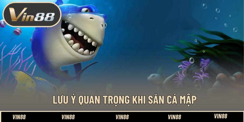 Lưu ý quan trọng khi săn cá mập Lưu ý quan trọng khi săn cá mập