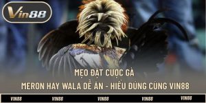 Mẹo Đặt Cược Gà Meron Hay Wala Dễ Ăn - Hiểu Đúng Cùng VIN88