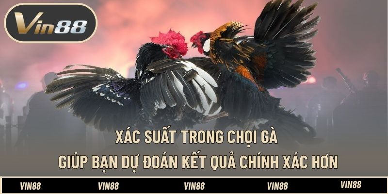 Xác suất trong chọi gà giúp bạn dự đoán kết quả chính xác hơn