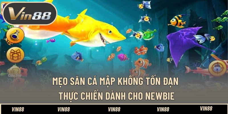 Mẹo Săn Cá Mập Không Tốn Đạn Thực Chiến Dành Cho Newbie