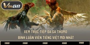 Xem Trực Tiếp Đá Gà Thomo Bình Luận Viên Tiếng Việt