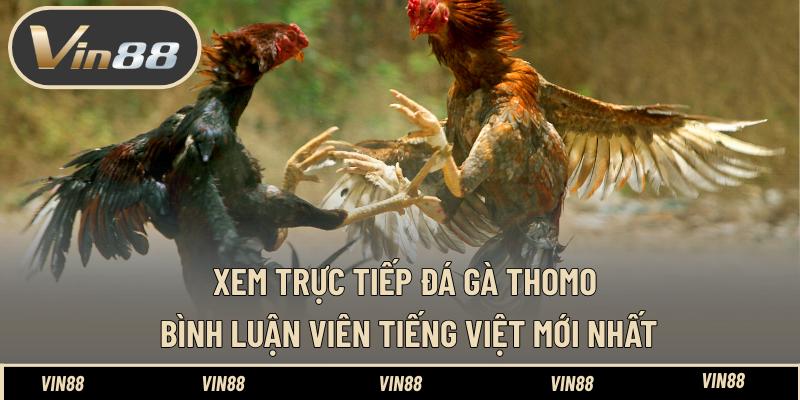 Xem Trực Tiếp Đá Gà Thomo Bình Luận Viên Tiếng Việt