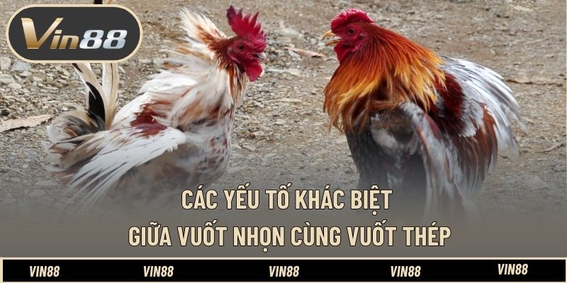 Các yếu tố khác biệt giữa vuốt nhọn cùng vuốt thép