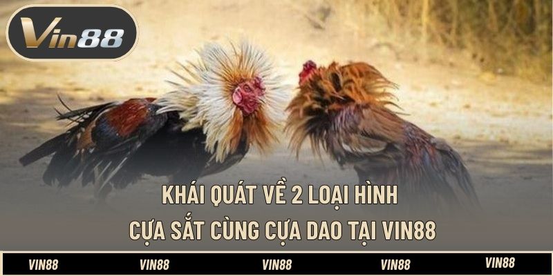 Khái quát về 2 loại hình cựa sắt cùng cựa dao tại VIN88