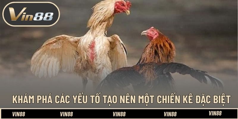 Khám phá các yếu tố tạo nên một chiến kê đặc biệt