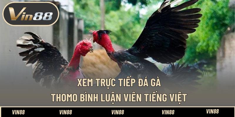 Xem trực tiếp đá gà Thomo bình luận viên tiếng việt mới nhất